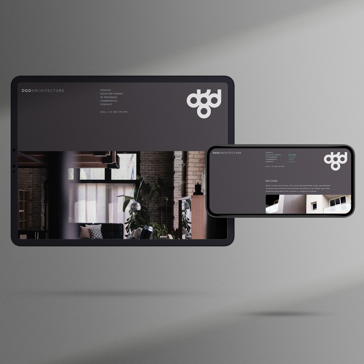 DGD portfolio, image 7 of 7