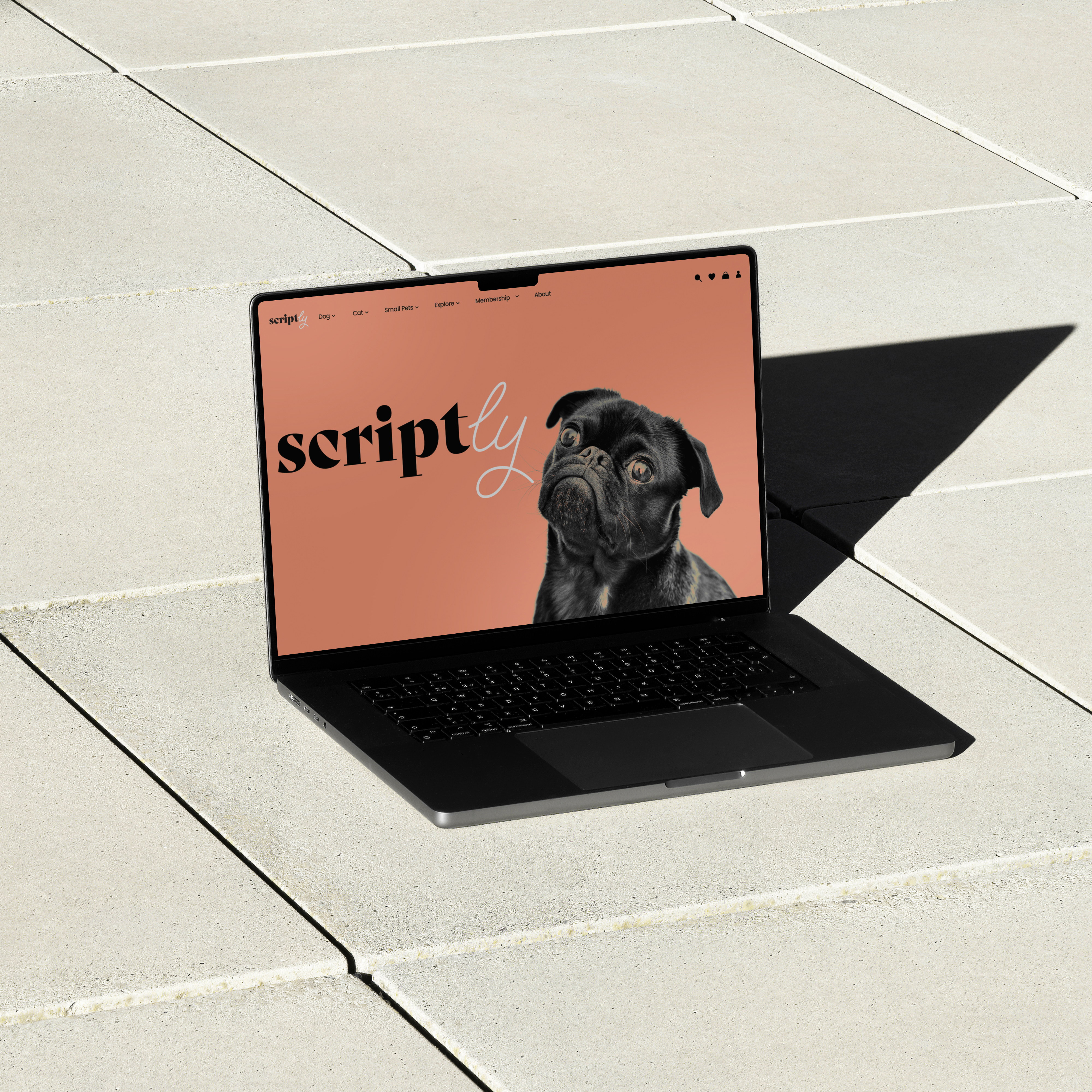 UI portfolio, image 9 of 9