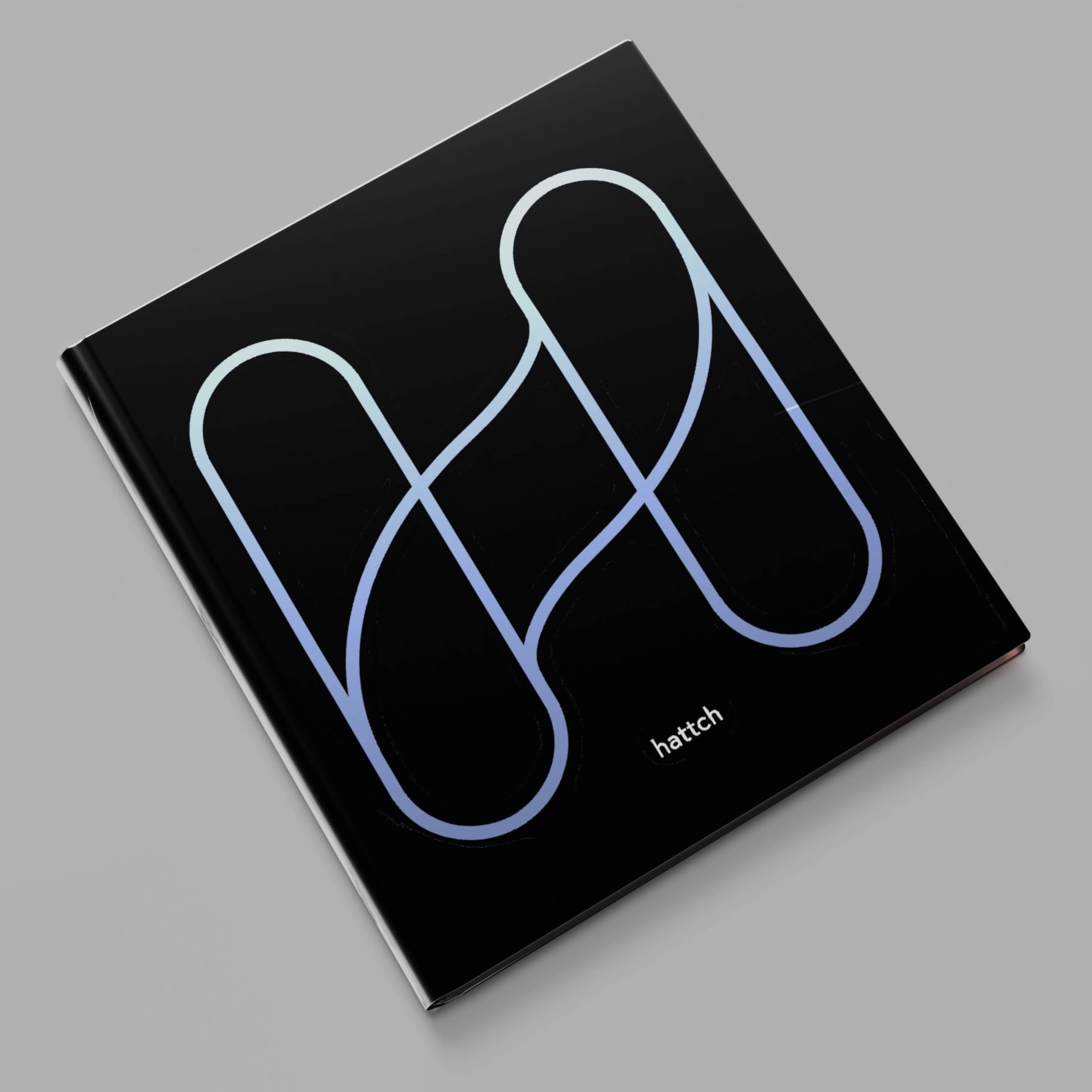 Hattch portfolio, image 3 of 3