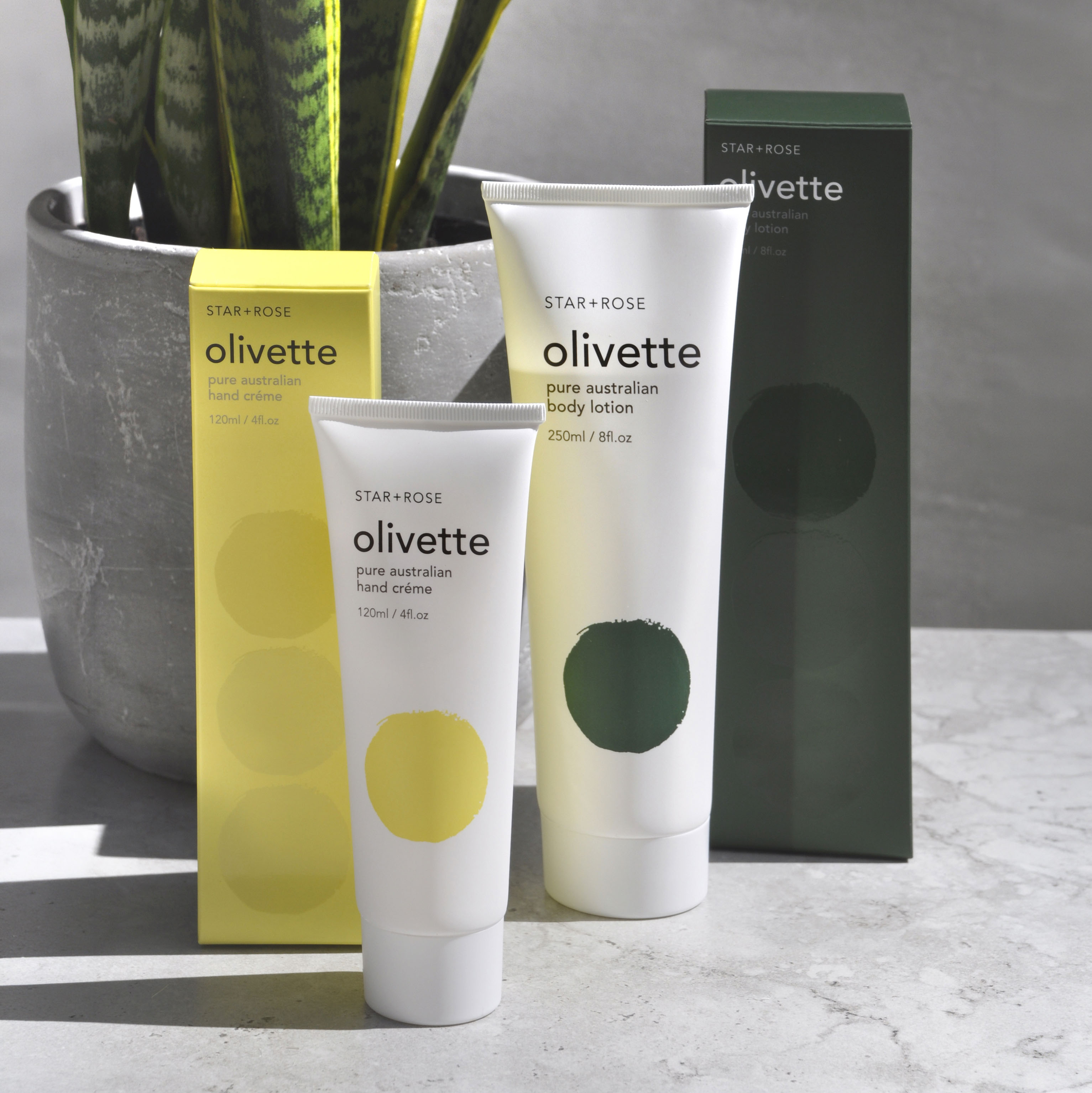 Olivette portfolio, image 3 of 7