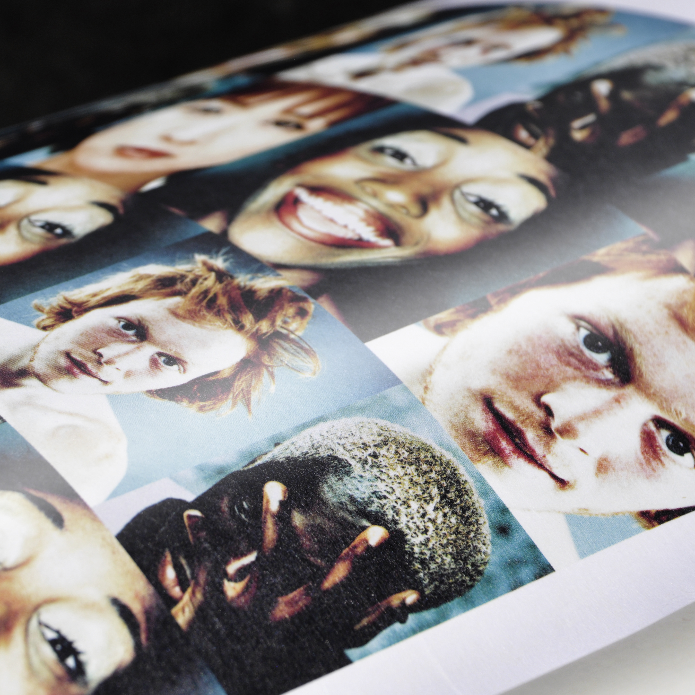 Sappi portfolio, image 2 of 3